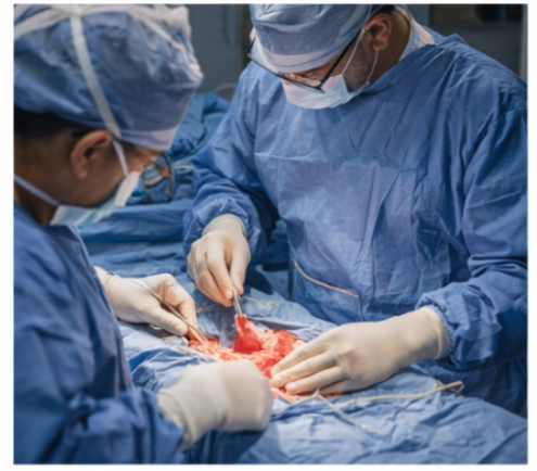 kidney stones surgery in indore