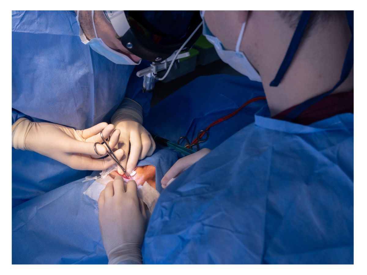 hypospadias surgery in indore